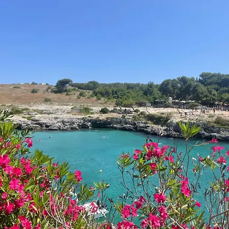 Alojamento de Acomodação e Pequeno-almoço Smilax - Hydruntum 3*