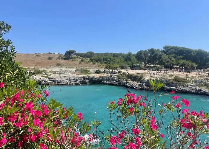 ベッド・アンド・ブレックファスト Smilax - Hydruntum 3*